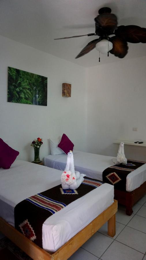 Selva Y Mar Apart Hotel Playa del Carmen Ngoại thất bức ảnh